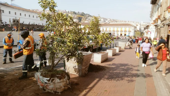 Arborización del Centro Histórico