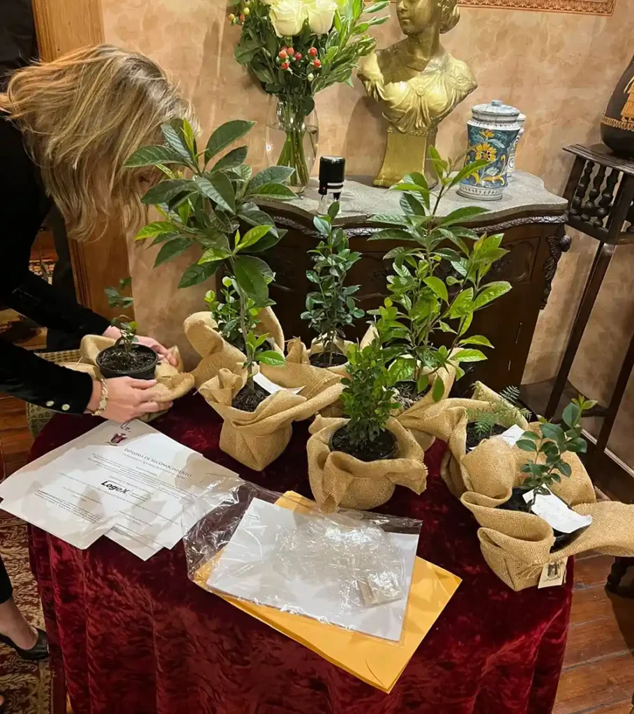 Colonia de Quiteños Reconocimiento Arborización