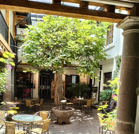 La Casa del Higo Sebastián Nader