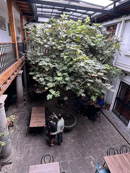 La Casa del Higo Patio Central
